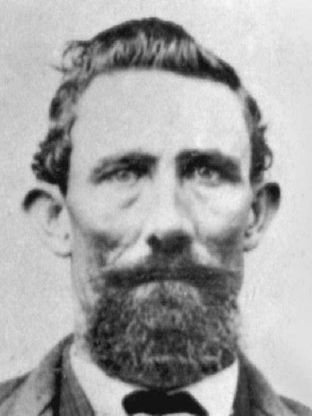 Daniel Harris (1831 - 1892) Profile
